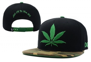 DGK Snapback-13