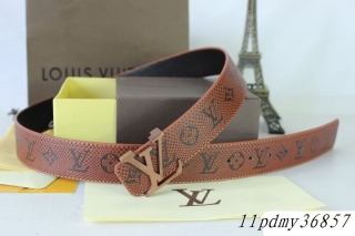 LV belts(1.1)-1319