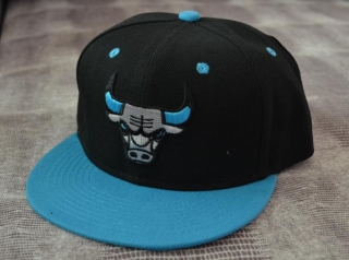 NBA BULL snapback-108