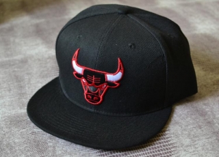 NBA BULL snapback-117