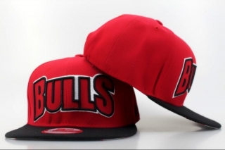 NBA BULL snapback-156