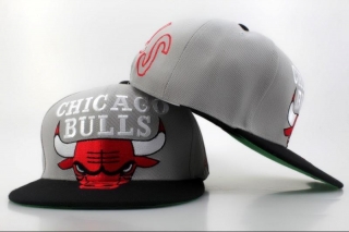 NBA BULL snapback-170