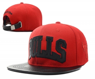 NBA BULL snapback-227