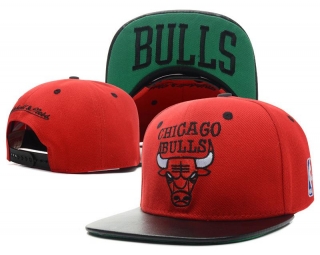 NBA BULL snapback-241