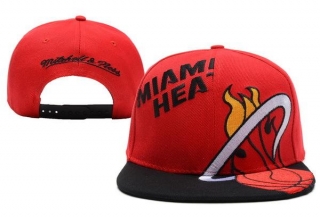 NBA Miami heats-48