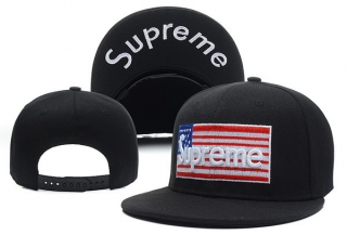 Supreme snapback-10