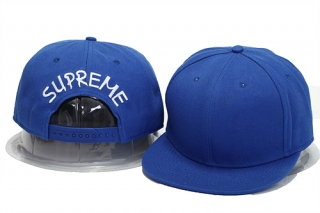 Supreme snapback-34