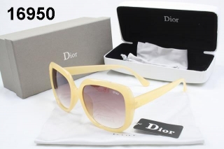 Dior sunglass-1011