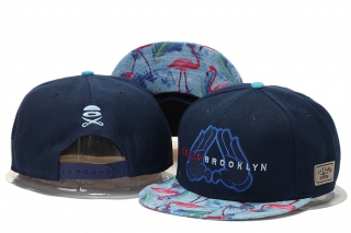 Cayler&Sons snapback-139