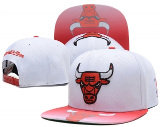 NBA BULL snapback-339