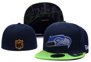NFL fitted hats-146