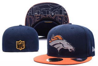 NFL fitted hats-154