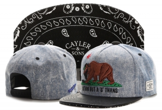 Cayler&Sons snapback-295