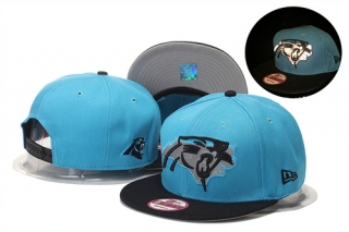 NFL Carolina Panthers hats-38