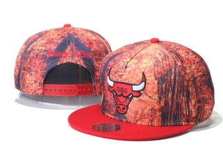 NBA BULL snapback-584