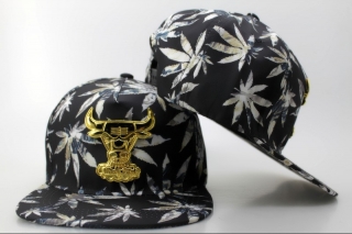 NBA Chicago Bulls Snapback-683