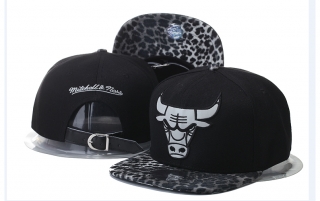 NBA Chicago Bulls Snapback-850