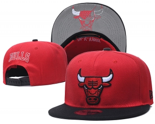 NBA Bulls snapback-new29003.jpg.shun