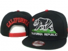 California republic snapback-02