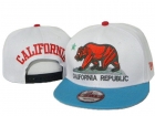 California republic snapback-15