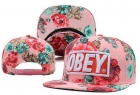 OBEY snapback hats-70