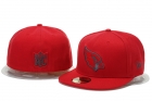 NFL fitted hats-102