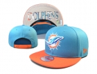 NFL Miami Dolphins hats-1063