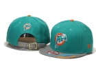 NFL Miami Dolphins hats-1066