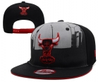 NBA BULL snapback-126