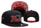 NBA BULL snapback-151