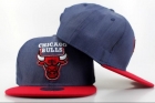 NBA BULL snapback-164