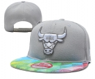 NBA BULL snapback-253