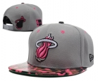 NBA Miami heats-15