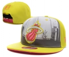 NBA Miami heats-25