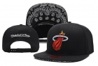 NBA Miami heats-73