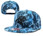 NFL Carolina Panthers hats-04