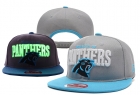 NFL Carolina Panthers hats-12