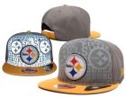 NFL Pittsburgh Steelers hats-35