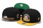 NFL Pittsburgh Steelers hats-40