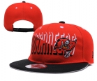 NFL Tampa Bay Buccaneers hats-04