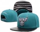 NBA BULL snapback-294