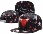 NBA BULL snapback-305