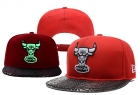 NBA BULL snapback-322