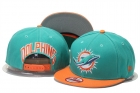 NFL Miami Dolphins snapback-58