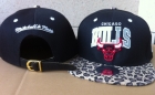 NBA BULL snapback-360