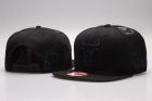 NBA BULL snapback-378