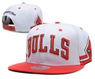 NBA BULL snapback-400