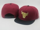 NBA BULL snapback-427