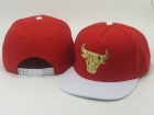 NBA BULL snapback-442