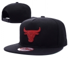 NBA BULL snapback-505